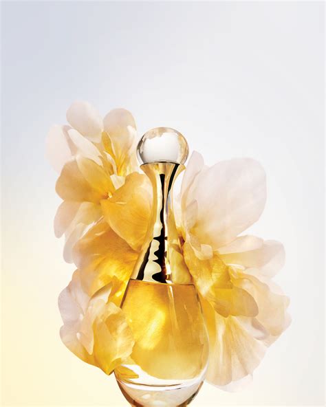 francis kurkdjian dior perfume|More.